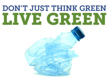 Green Guide Ad Comps